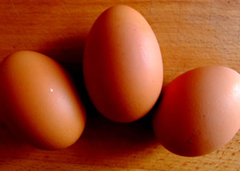 Salmonella poate infecta ouale pentru consum