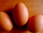 Sfaturi Alimente nesanatoase - Salmonella poate infecta ouale pentru consum