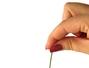 Sfaturi Obiceiuri sanatoase - Recomandari utile pentru un par, unghii si o piele stralucitor de sanatoase