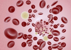 Grupa de sange isi pune decisiv amprenta asupra felului in care ne alimentam!