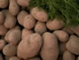 Sfaturi Tratamente naturiste - Cartoful folosit ca medicament