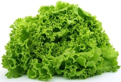 Totul despre salata verde