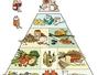 Sfaturi Consum moderat - Piramida alimentelor sanatoase