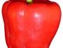 Sfaturi Fructe de mare - 12 idei de retete cu gogosari
