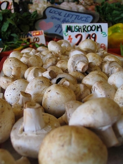 Sfaturi pentru gatit ciuperci