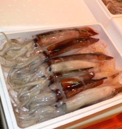 Sfaturi pentru gatit calamari