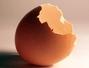 Sfaturi Inalbitor natural - Cojile de oua - 12 intrebuintari uimitoare