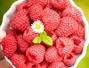 Sfaturi Fructe de padure - 6 alimente pentru creier