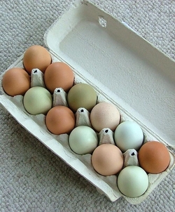Sfaturi pentru gatit cu oua