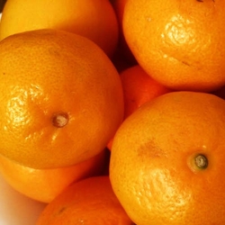 Beneficiile mandarinelor