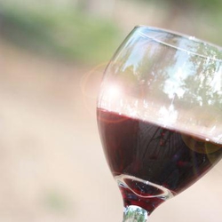 Secretele gatitului cu vin