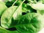Sfaturi Salata - Beneficiile spanacului
