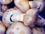 Sfaturi Prajit - Greseli comune cand prepari ciupercile