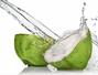 Sfaturi Cocos - Adevarul despre dieta cu apa de cocos – Slabesti sau nu?