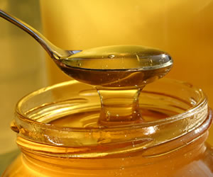 Mierea de albine si binefacerile sale