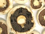 Retete Cascaval - Ciuperci gratinate