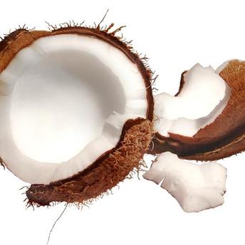 Sarlota cu nuca de cocos (Pudim)