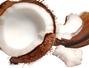 Retete traditionale braziliene - Sarlota cu nuca de cocos (Pudim)