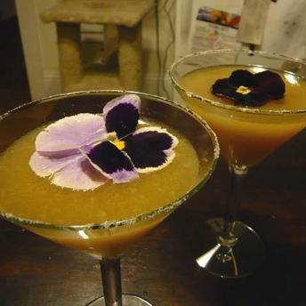 Cocktail Havana