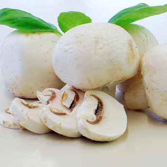 Ciuperci pleurotus cu maioneza 