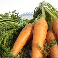 Prune si morcovi la dieta pentru un trup mai atragator!