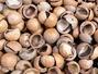 Sfaturi Potasiu - Nucile de macadamia sunt bogate in grasimi mononesaturate sanatoase