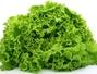 Sfaturi Laptuci - Totul despre salata verde
