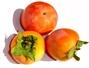 Sfaturi Proprietati fruct kaki - Fructul kaki si sanatatea