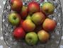 Sfaturi Depozitare - Sfaturi pentru gatit cu mere