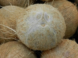 Beneficiile fulgilor de nuca de cocos
