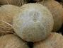 Sfaturi Fier - Beneficiile fulgilor de nuca de cocos