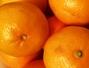 Sfaturi culinare Alimentatie sanatoasa - Beneficiile mandarinelor
