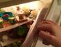 Sfaturi Snack - Un frigider organizat te ajuta sa slabesti