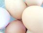 Sfaturi Acizi grasi - De ce sa alegi ouale organice