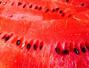 Sfaturi Dureri musculare - 5 lucruri inedite despre pepenele rosu