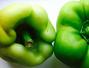 Sfaturi Salate - La ce sa te astepti cand iti cultivi primele legume