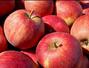 Sfaturi Alimentatie sanatoasa - Dieta de 3 zile cu mere