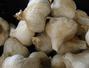 Sfaturi Pudra de usturoi - 5 greseli atunci cand gatim cu usturoi 