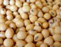 Sfaturi Biscuiti - De ce evitam in continuare soia si produsele de soia?