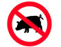 Sfaturi Varza - Paziti-va de gripa porcina si prin masuri alimentare