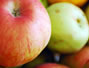 Sfaturi Morcov - Detoxifica si slabeste – dieta cu mere