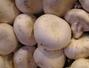 Retete Galbiori - Ciuperci marinate