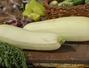 Retete culinare Mancaruri cu legume - Tocanita de dovlecei