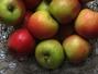 Retete culinare Prajituri - Rulada cu mere, stafide si nuci